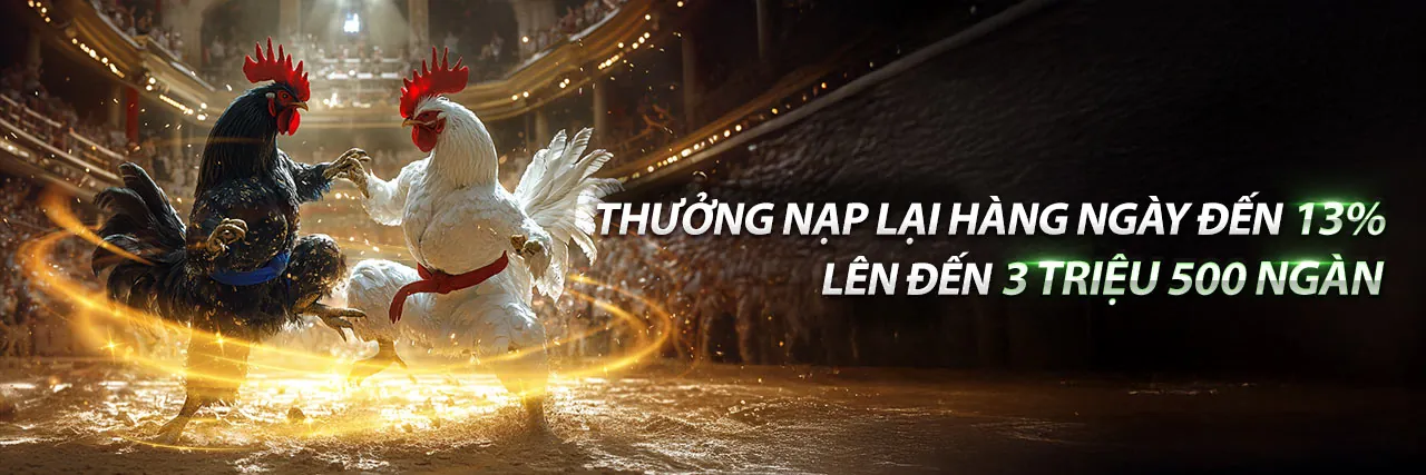 Banner quảng cáo các chương trình khuyến mãi độc quyền cho cá cược thể thao tại wynn09 casino